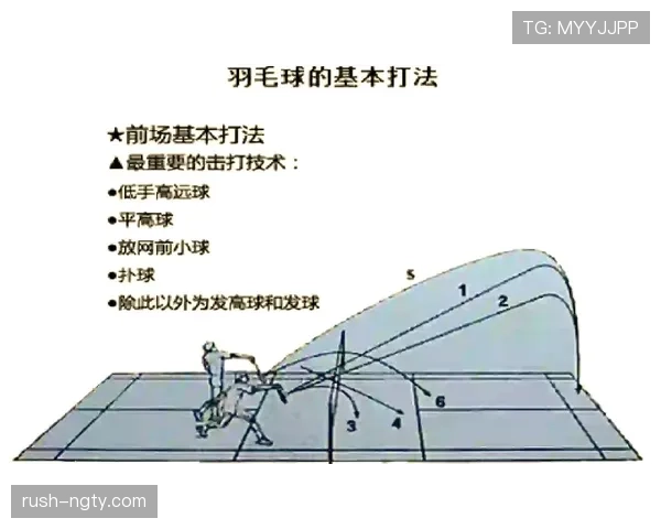 前场规则是什么意思？新手必看的前场规则教学解析